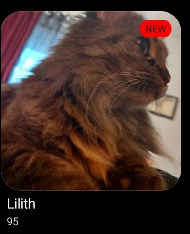 Lilith_170.jpg