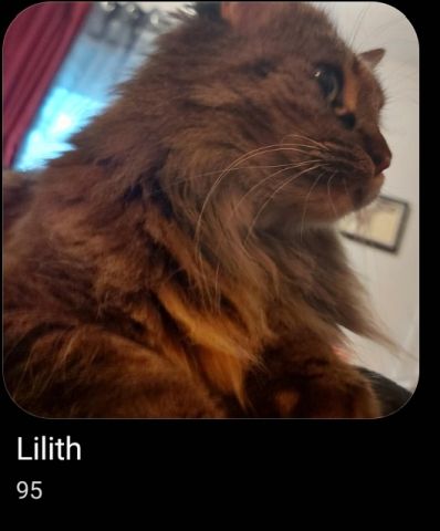 Lilith_171.jpg